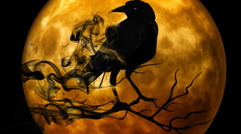 Raven