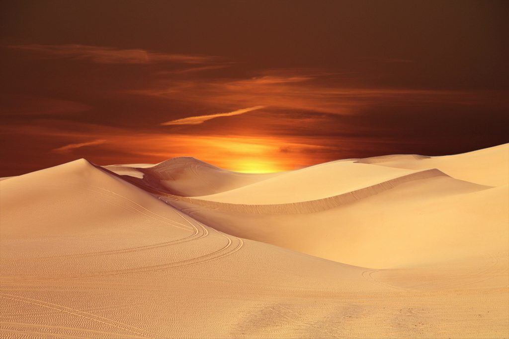 Desert Journey